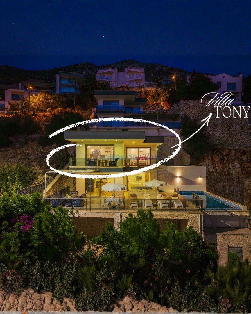 Вилла Tony